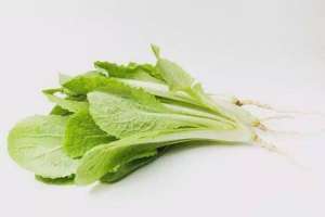 炒小白菜需要焯水嗎? 炒小白菜的簡單做法